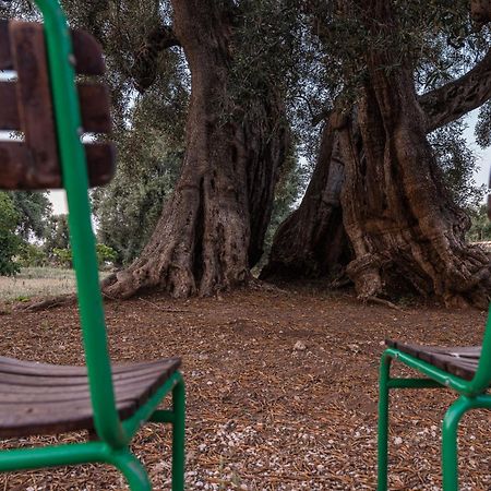 Masseria Torrelonga Фазано Экстерьер фото