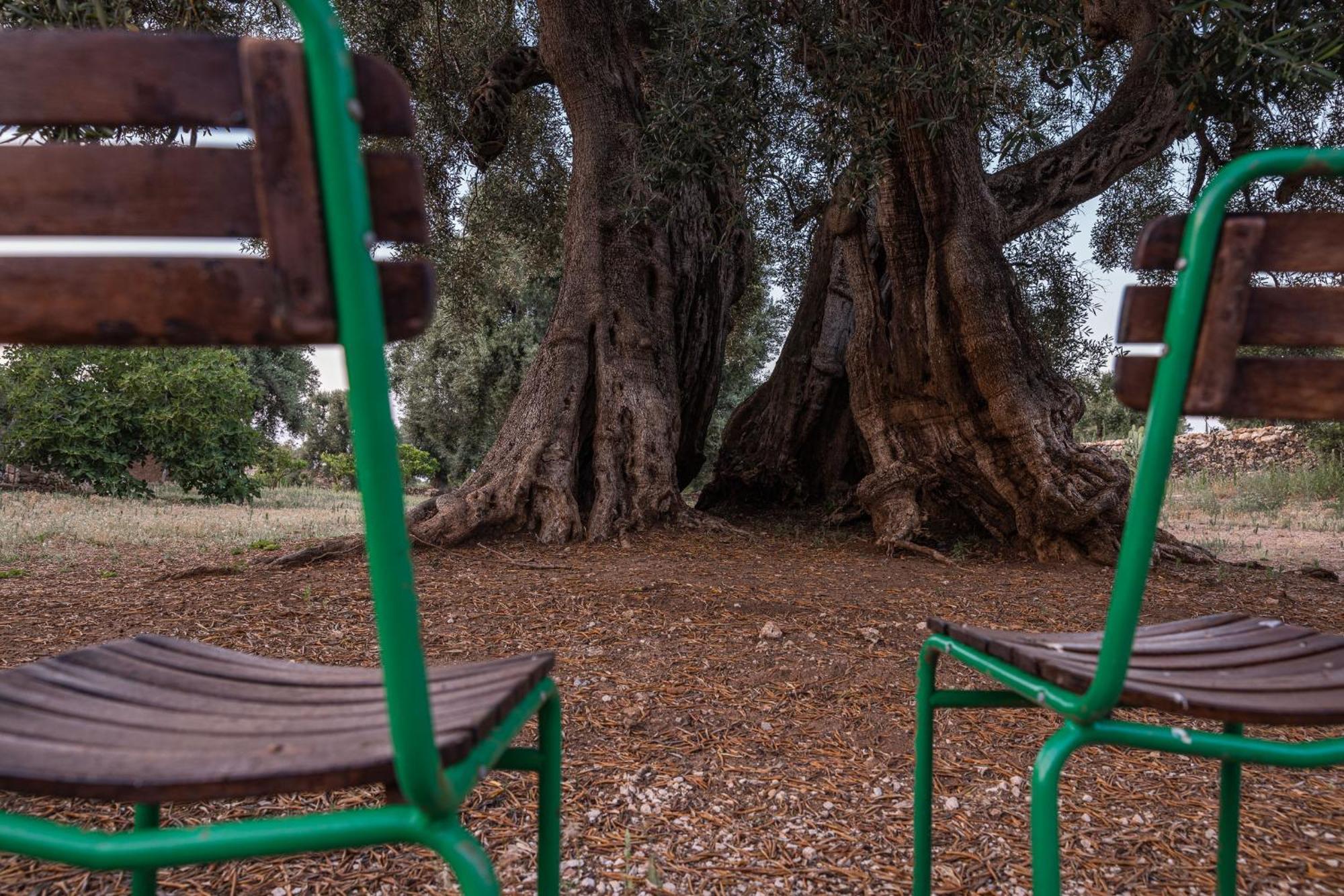 Masseria Torrelonga Фазано Экстерьер фото